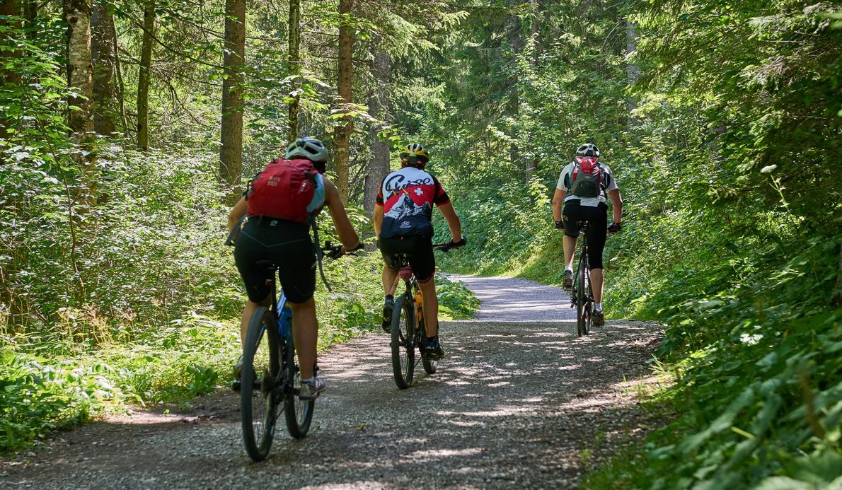 Radfahren-Trailfahren-Tannheimertal-Wellnesshotel-Rehbach